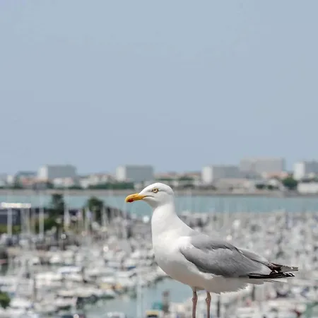 Apartmán The Little Azur La Rochelle (Charente-Maritime)