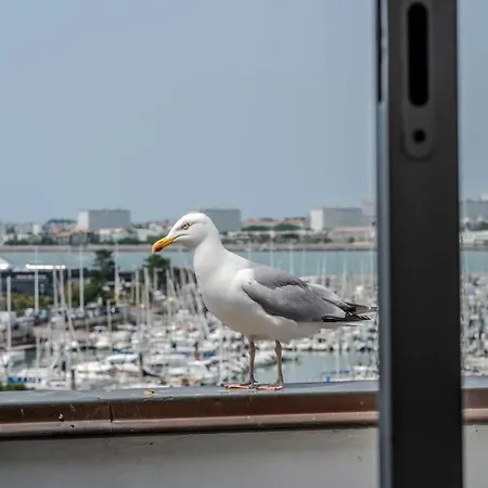 The Little Azur Daire